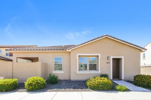 ♡SALE♡PET 9cm×10m 140cm/loop 云端玫瑰 ♡SALE♡PET 9cm×10m 140cm/loop 云端玫瑰 Amazon.com: Country Brook