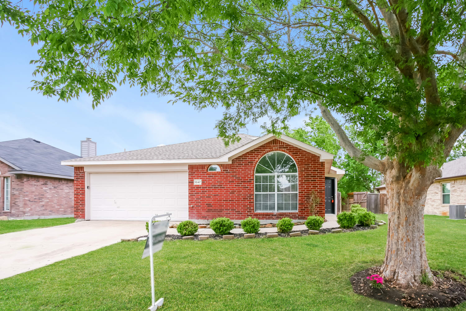 Affordable rental homes in Little Elm, TX