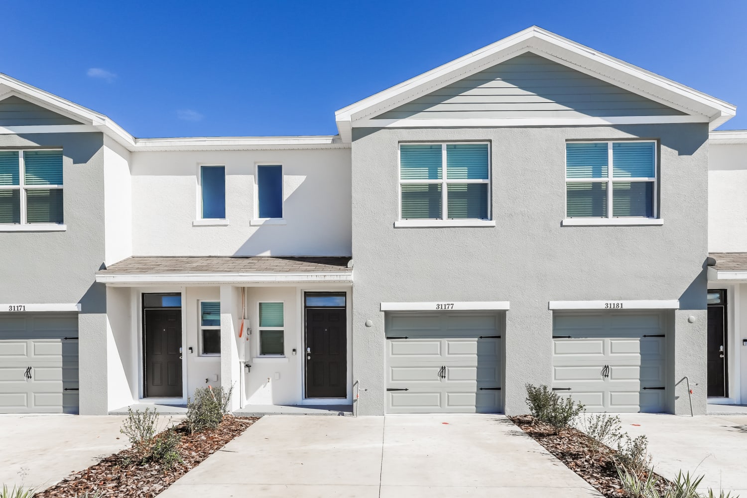 3-Bed House for Rent - 31177 Monterey Pine St, Wesley Chapel, FL