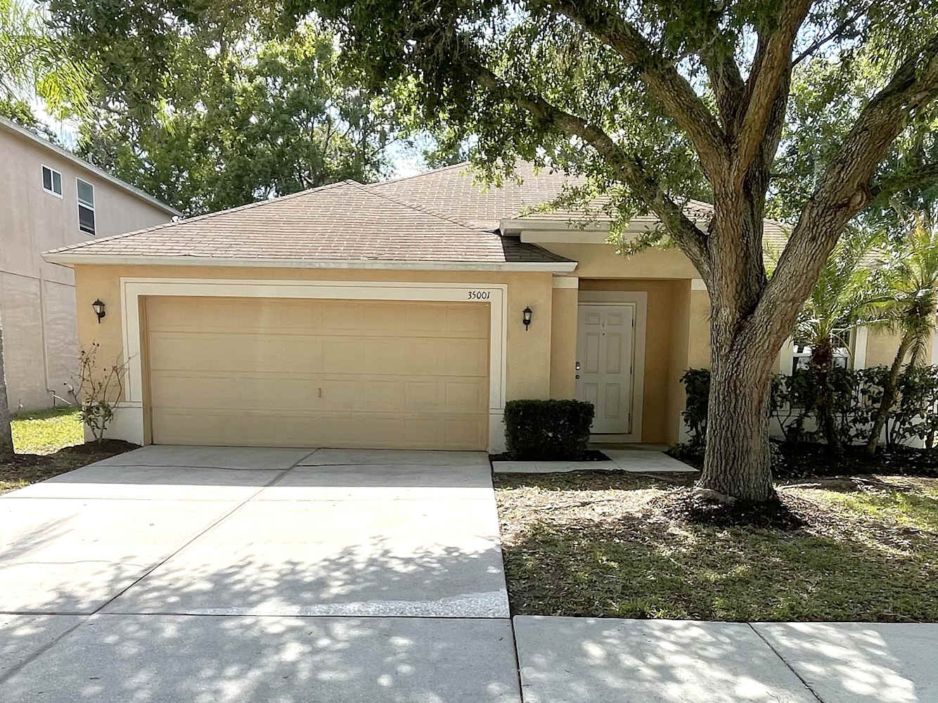 4-Bed Home at 35003 Meadow Reach Dr, Zephyrhills